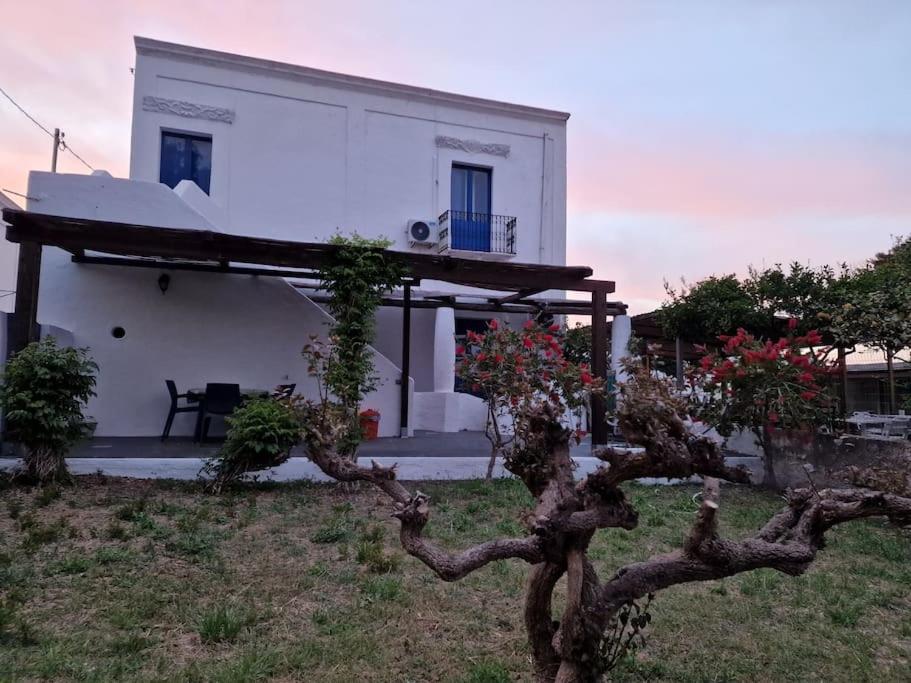 Stromboli Vacanze ภายนอก รูปภาพ